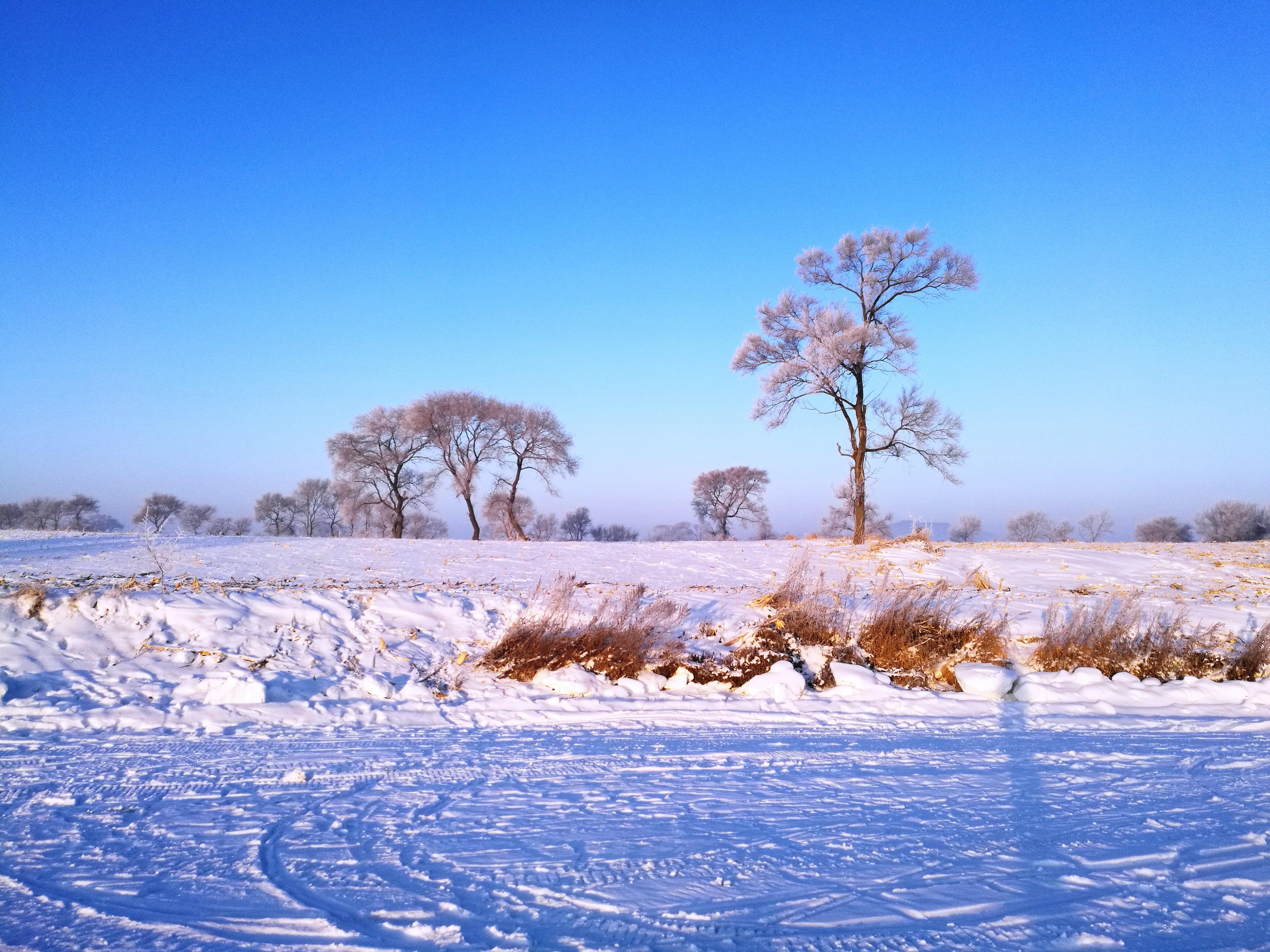 “漠河列车时刻表，探寻冰雪之旅的温馨指南”