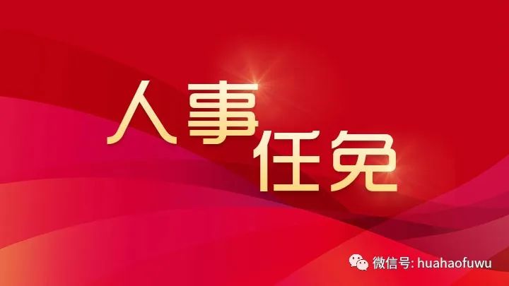 最新发布：中央人事任免信息详查指南